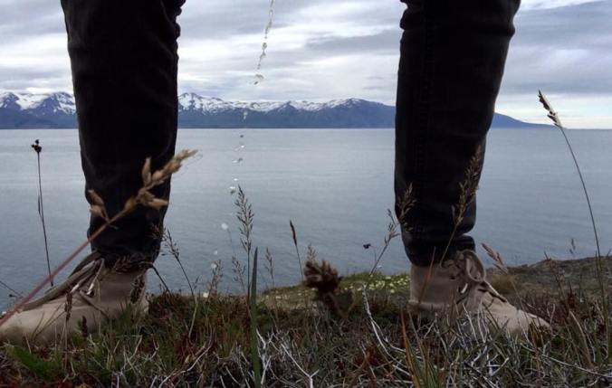 11944359_10206055084510483_465810532_n