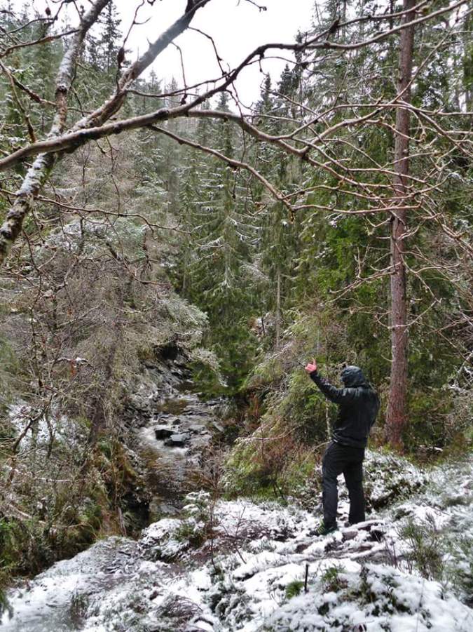 FB_IMG_1450997829328