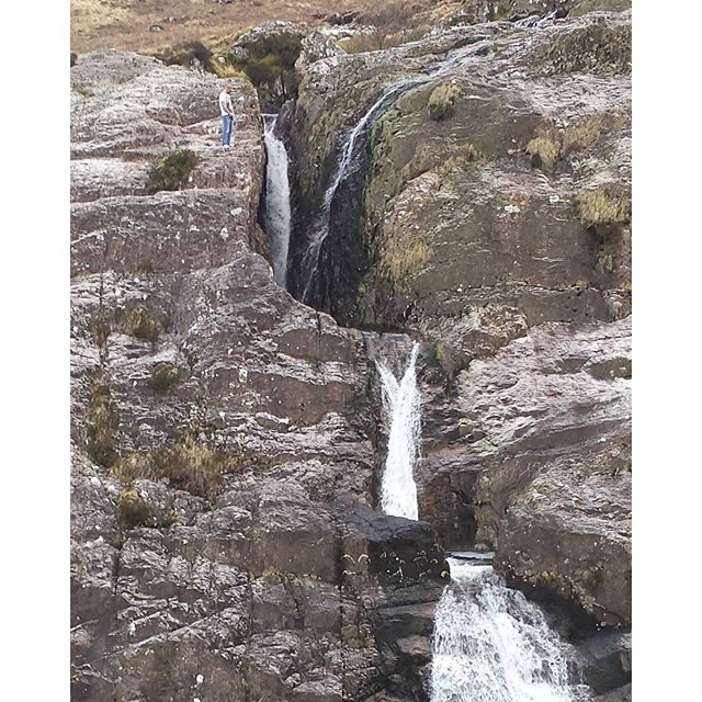 12930779_935861986528314_290083935_n