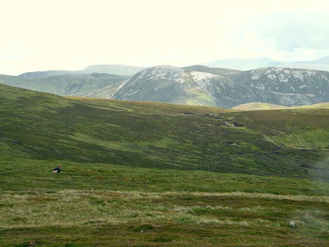 13551676_1059537990806669_1415159639_n